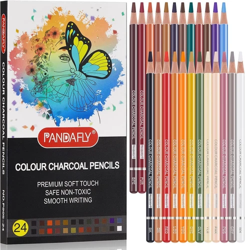 24 Colors Professional Colour Charcoal Pencils Drawing SetSkin Tone PencilsNew - Picture 1 of 2