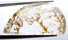 ip16 Dendrite Quartz 25.89ct 18x33x6mm free form picture stone agate dendritic