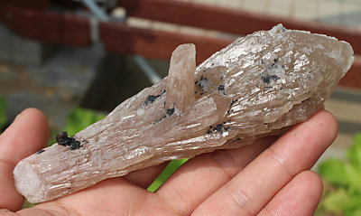 Rare NATURAL New Find Unique skeletal Elestial QUARTZ Crystal Point Specimen AAA