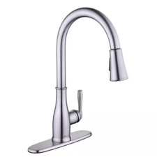 Halwin Single-Handle Pull down Sprayer Kitchen Faucet in Stainless Steel