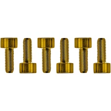 Floyd Rose Stainless Steel Saddle Mounting Screws Gold