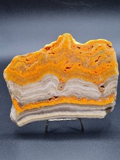 Bumblebee Jasper Polished Slab Indonesia – Natural Volcanic Stone - 270g
