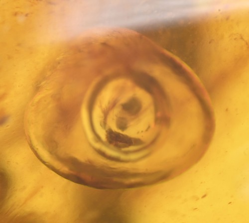 Movable Enhydro Water bubble - Fossil Insect Inclusion in Burmese Amber - 第 1/10 張圖片
