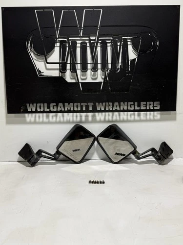 97-02 Jeep TJ Wrangler Passenger Driver Outer Side Mirror PAIR Sideview w/ Bolts