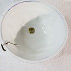 Picture 4 of 7