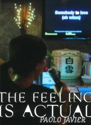 Paulo Javier Feeling Is Actual (Paperback)