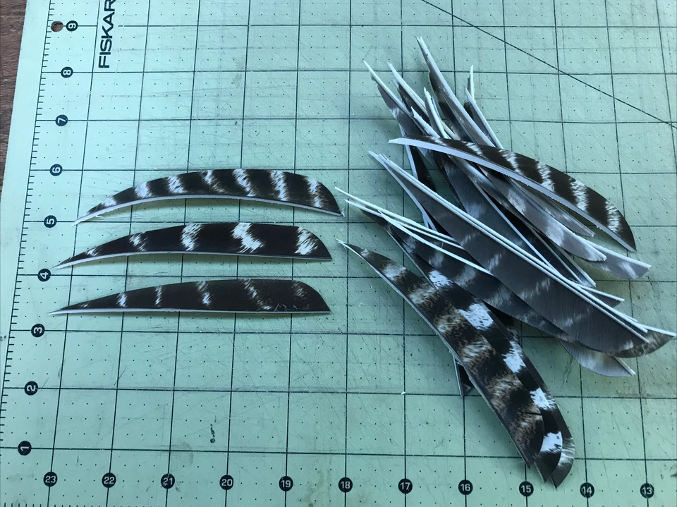 5" Left  Wing Parabolic Natural Barred Feather Fletching, 25Pk Archery 🇺🇸￼ - Image 2 of 2