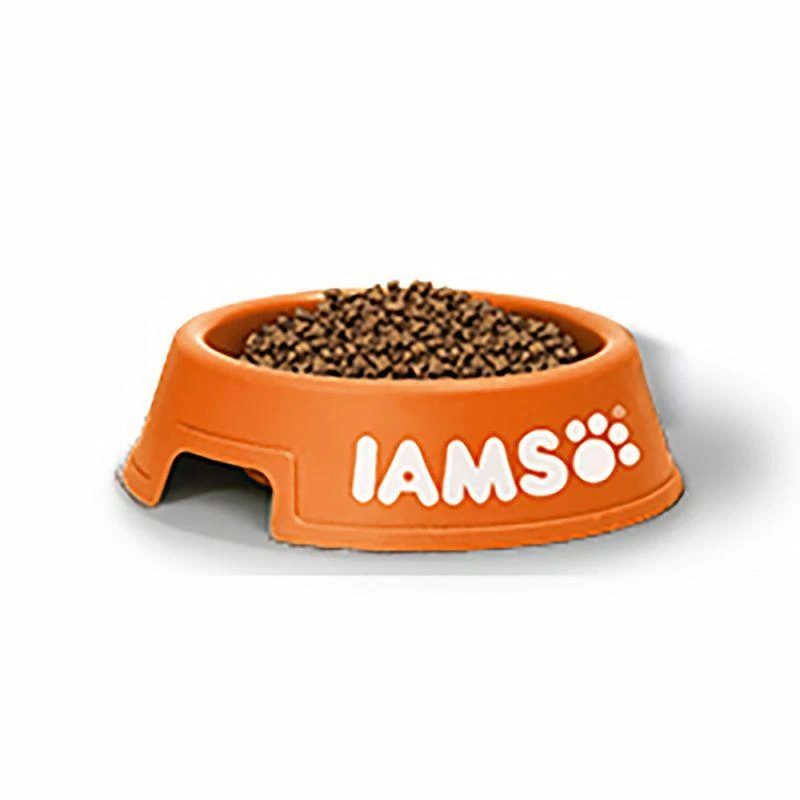 Iams cat food hotsell 15kg best price