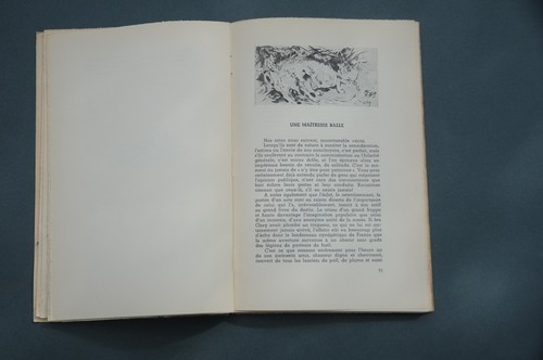 Chasse J. Lurkin La cloche de vâtres et autres récits de chasse 1940 illustré - Imagen 4 de 6