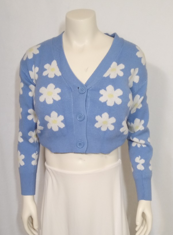 Willow & Wind Women's XS Blue Button Up White Daisy Cropped Long