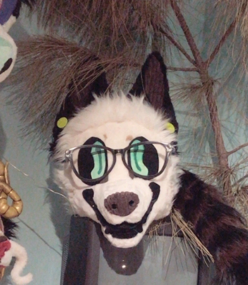 Oakley - White & Black Toony Canine - MQ Fursuit head - Image 4 of 4