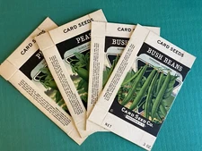 4 Vintage Unused Seed Boxes from Card Seed Co., Peas and Bush Beans