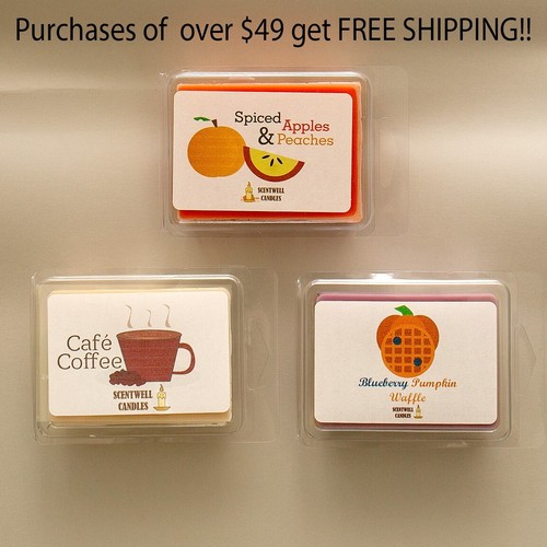 Wax Melts Soy Blend Maximum Scent Clamshells 2.5+ oz. Student and Family Made
