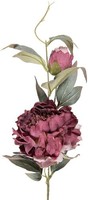 Clayre & Eef 5PL0244P Dekoration Zweig Mit Blumen Violett GrüN 14X14X78 Cm
