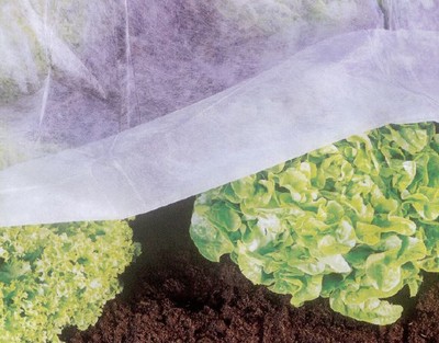 Fruhbeet Vlies Gartenvlies Fleece Garten Beet Anzucht Pflanzenschutz 10 X 1 5 M Ebay