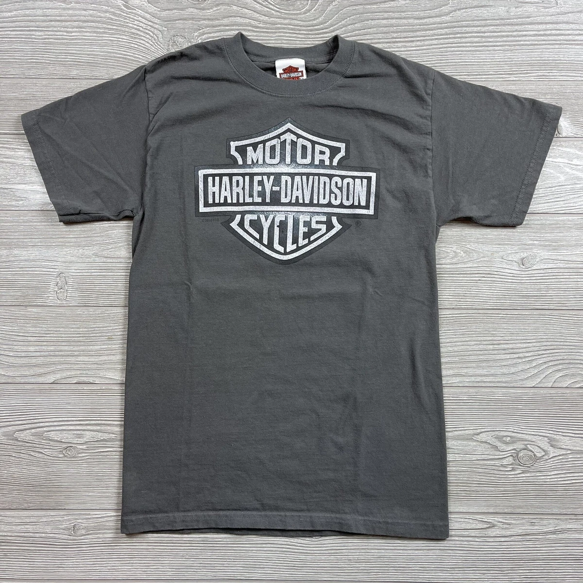 超目玉枠】 HARLEY Men DAVIDSON MICHIGAN S/S TEE - anterior