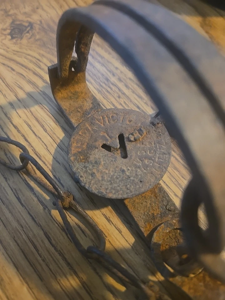 Vintage Small Game Trap Victor Rusty Old with Chain - Image 3 of 4