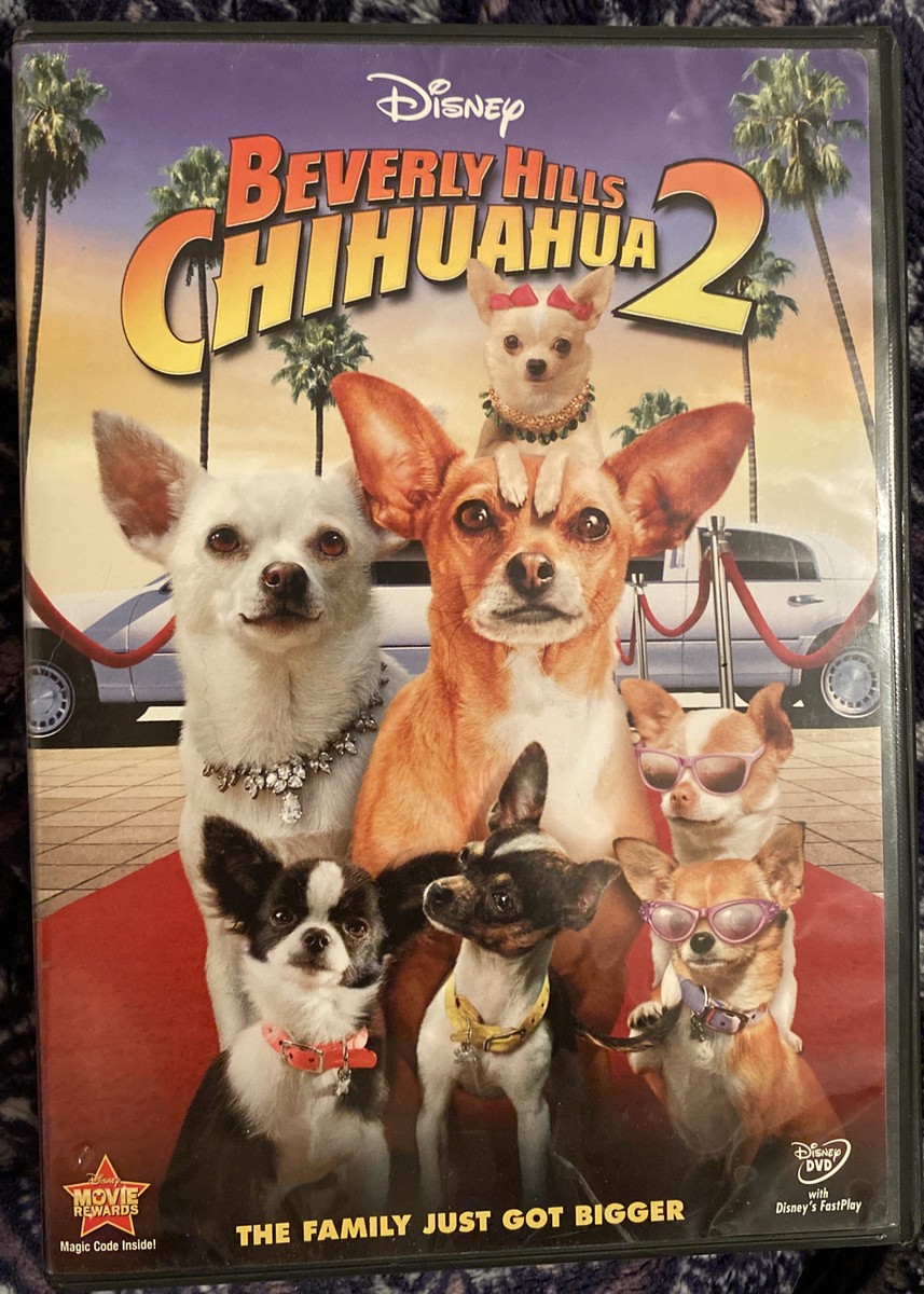 Beverly Hills Chihuahua (DVD, 2011) Excellent Condition