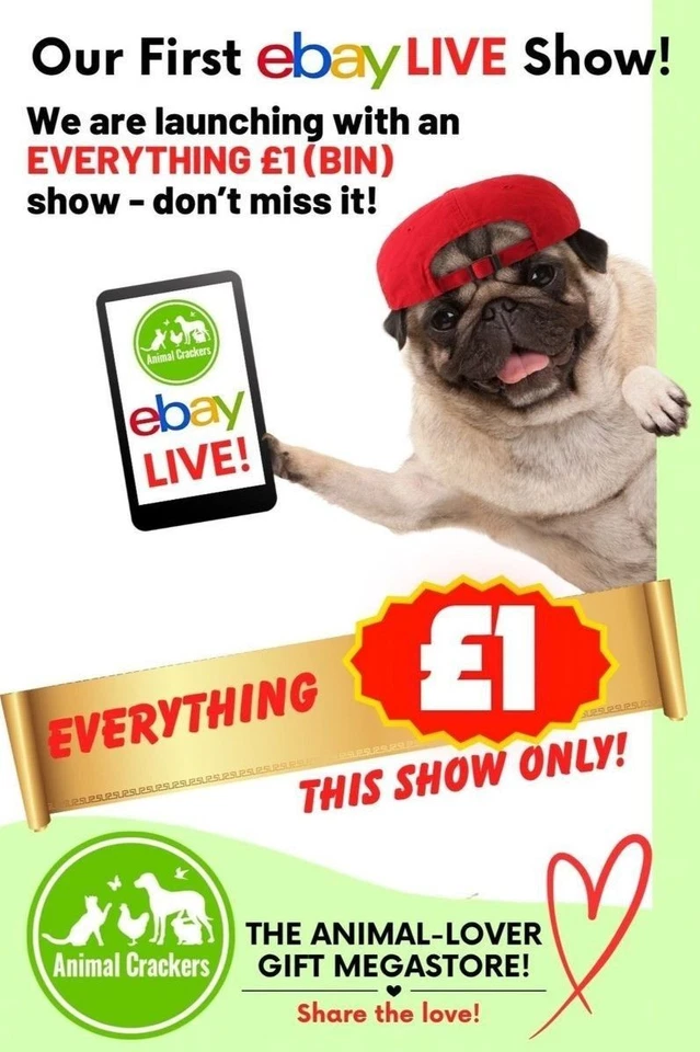 First live show  - everything £1 (final price!)