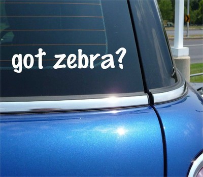 got zebra? CAR DECAL BUMPER STICKER VINYL FUNNY JOKE WINDOW
