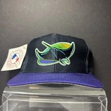 Tampa Bay Devil Rays Vintage 1990s Twins Enterprise Snapback Cap Hat Brand New