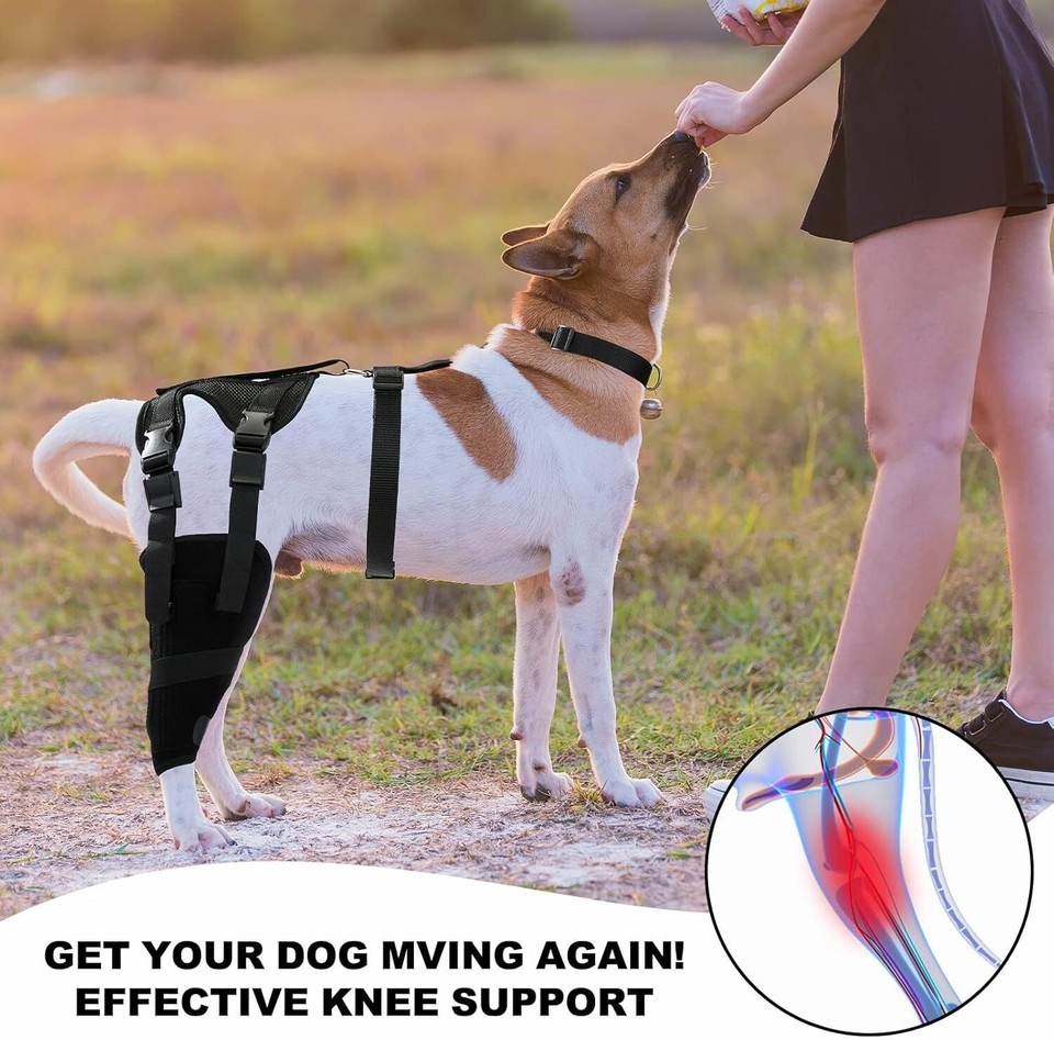 Dog Double Knee Brace, Support for Torn ACL Hind Leg, Luxating Patella
