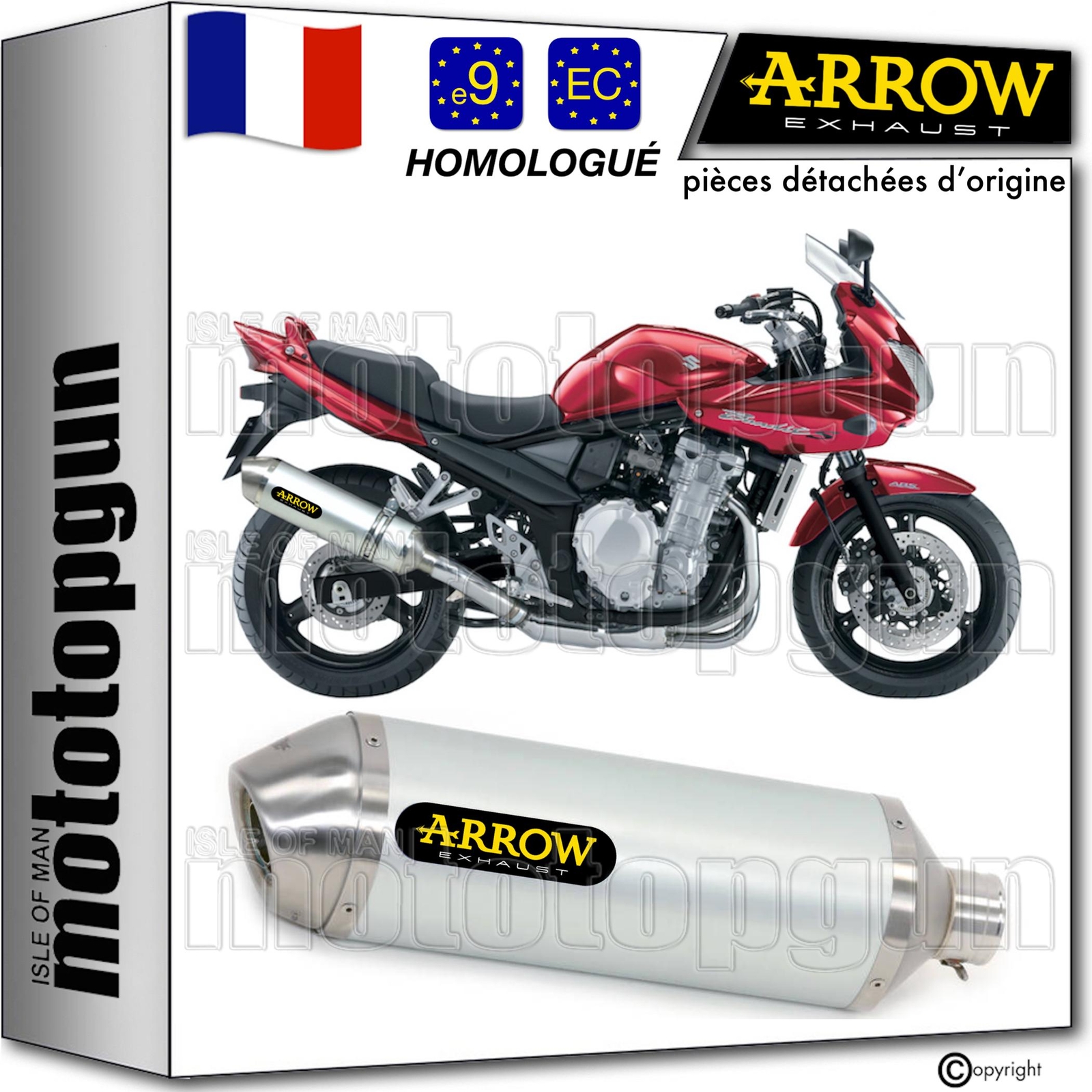 Silencieux Arrow Race-Tech en aluminium homologué pour moto Suzuki GSF 650 Bandit 2007