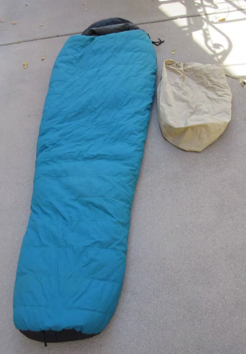 REI Goose Down 84