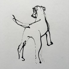 Original signed Ink sketche drawing of an Irish Terrier Pup A4