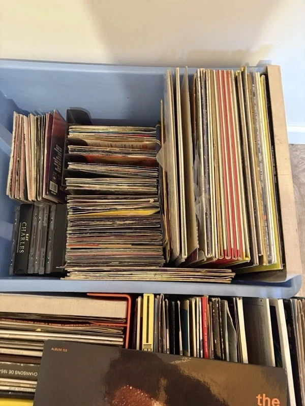 Collection de Vinyles 33 & 45 Tours - Rock; Musique du Monde; alternative - Photo 2/4