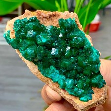 158G Natural green dioptase emerandine gemstone cluster mineral specimen