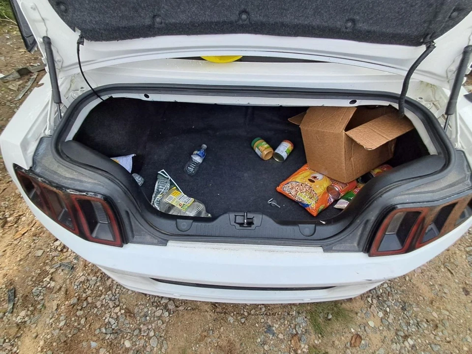 Base de maletero/portón trasero V6 con alerón compatible con Mustang 13-14 1339279 Foto 2 de 3