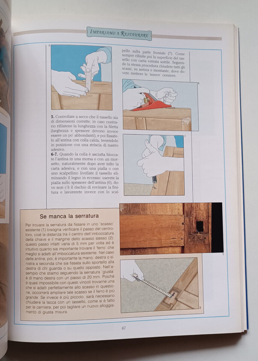 Imagen 5 de 6
