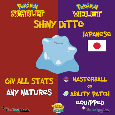 Shiny Ditto  Japanese, Masuda   6IV   All natures   Pokemon Scarlet & Violet