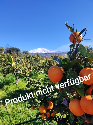 Saftorangen Ätna-Dok direkt vom sizilien frisch schnell Versand 17 Kg