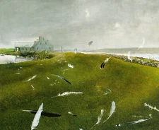 Andrew Wyeth: Airborne 22x30 Archival Quality Fine Art Print