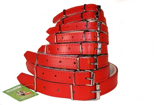 Piel Auténtica Perro Cachorro Collares Fieltro Forro Marrón Negro Natural Rojo - Imagen 13 de 15