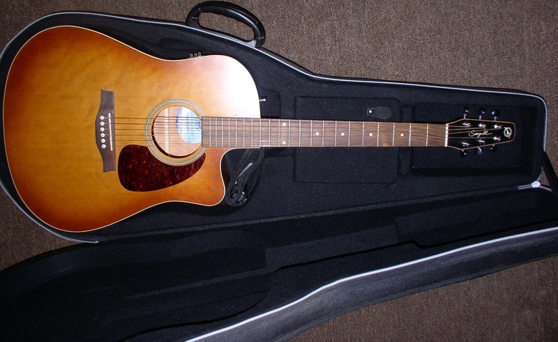 SEAGULL ENTOURAGE acoustic/electric guitar by GODIN