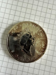 Silbermünze Elizabeth II 5 Dollar 1996 Canada Elizabeth II 1 OZ Silber