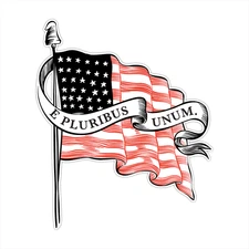 E Pluribus Unum USA Flag Eagle Bumper Sticker Vinyl Decal 5"