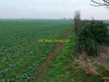 Photo 6x4 Field alongside Fosse Lane  Thistleton/SK9117 Looks like oilse c2016