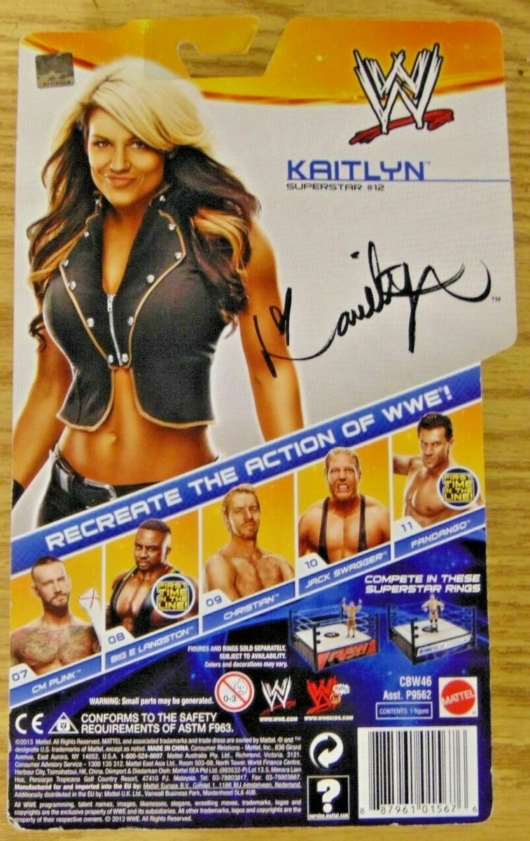 Mattel WWE Kaitlyn Best of 2013 MOC First Time in the Line Hybrid Diva | #478841474