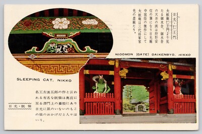 Postcard  Nikko Tosho-gu Shrine Japan Sleeping Cat Ad 1957 