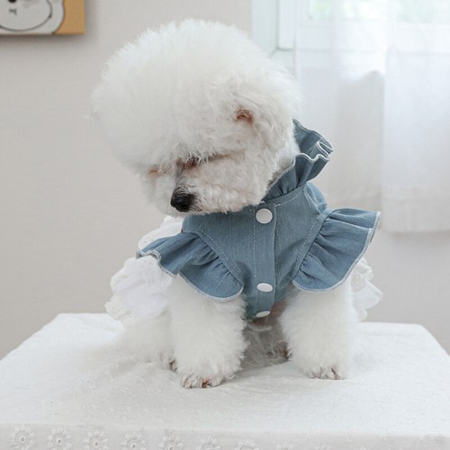 Spring Autumn Pet Clothes Dress Dog Cat Clothing Denim Cowboy Lace Skirt NEW - Picture 7 of 15