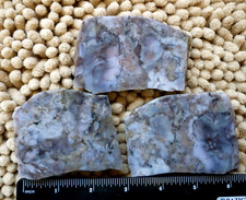 Graveyard Point Oregon Plume Agate 3" Stone Slabs Mossy w/ Blue Hues 10.2 ounces
