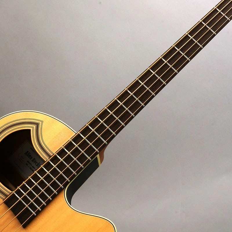 Warwick RockBass Alien Standard 4st Acoustic Bass Guitar