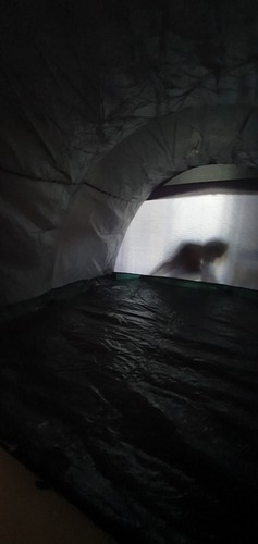 Iglu-Dom-Tunnelzelt Mallorca 3 - Bild 7 von 16