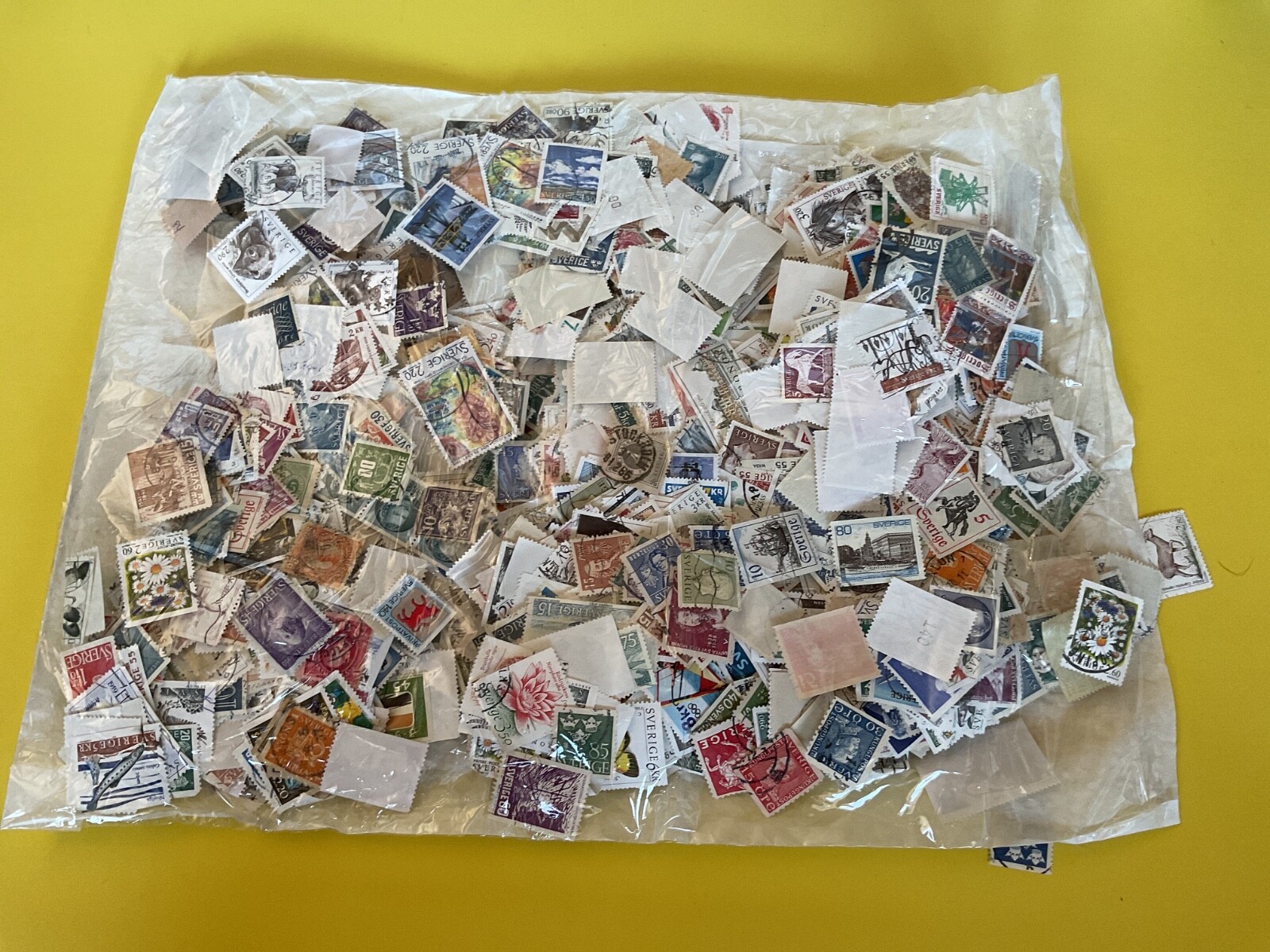 Large collection of Sweden used  stamps off paper in folder  B15