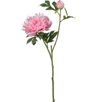 Kunstblume Peonie, 2Er Set, Farbe Rosa, HöHe Ca. 65 Cm