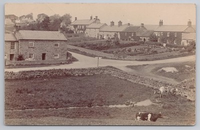 RPPC Unidentified Village Hillside View, Bridge & Cows c1910 unbekannter Ort